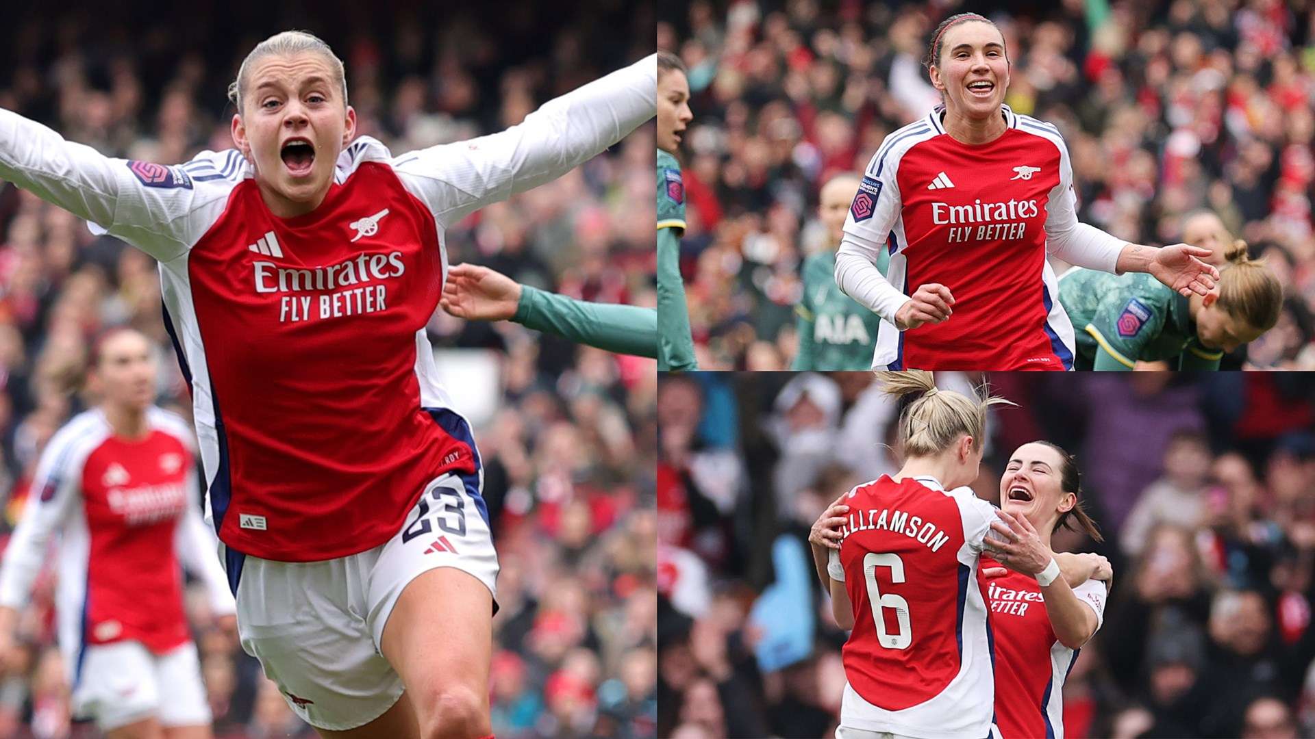 这支球队也 这支球队也